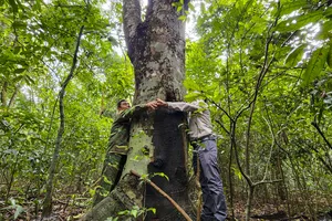 Khám phá khu rừng nguyên sinh duy nhất giữa đồng bằng Quảng Trị