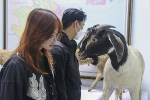 Bảo tàng thiên nhiên độc nhất vô nhị ở Huế có gì đặc biệt?