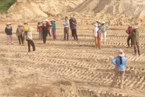 Quảng Trị: Kiểm tra vụ người dân ngăn cản việc khai thác cát ở sông Thác Ma