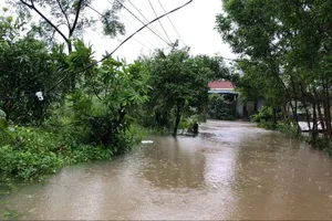 Trên đường đi giúp con chống lũ, người cha bị điện giật tử vong