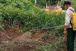 Huế: Kiểm tra đột xuất lò mổ, phát hiện 2 con lợn nhiều chấm đỏ nghi bệnh