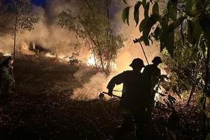 Đang dập đám cháy rừng thì phát hiện thi thể người đàn ông