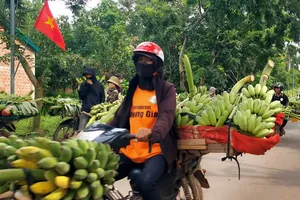 Sau vụ xe tải tông 3 người chết: Hàng trăm nông dân được đưa đến điểm bán chuối an toàn