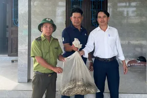 Đưa trăn gấm quý hiếm về rừng sau khi bị phát hiện bắt gà của dân