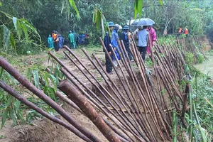 Huế huy động lực lượng gia cố bờ sông bị sạt lở uy hiếp nhà dân