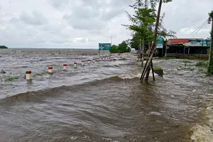 Triều cường dâng cao, vùng trũng phá Tam Giang ngập sâu
