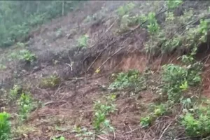 Ngọn đồi có vết nứt rộng hơn 1m, di dời khẩn cấp 21 người dân