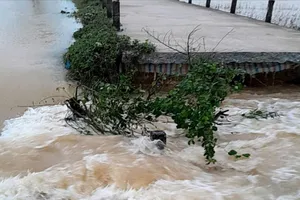 Lũ cuốn trôi 7 m đê kết hợp với đường giao thông ở Huế