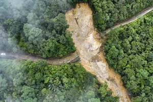 Sạt lở đường lên đỉnh Bạch Mã: Mở lối mòn, tính dùng ròng rọc cứu viện