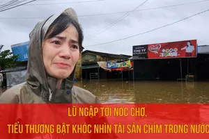 VIDEO: Lũ ngập tới nóc chợ, tiểu thương bật khóc nhìn tài sản chìm trong nước