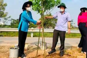 Bình Chánh: Phát động ra quân tổng vệ sinh môi trường, trồng cây xanh