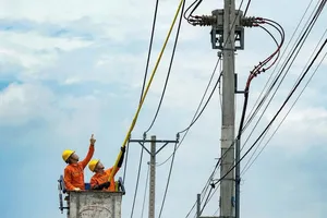 Nhiếp ảnh gia Võ Văn Hoàng đạt 15 giải tại cuộc thi ảnh về nông thôn mới tại TP.HCM