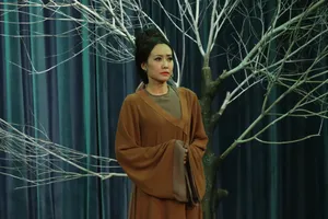 Nghệ sĩ Hồng Ánh gặp vấn đề sức khoẻ, vở 'Dưới bóng giai nhân' bị huỷ