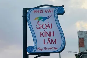 UBND quận 5 phản hồi về việc đặt tên 'Phố vải Soái Kình Lâm'