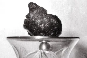 Tạm hoãn việc chiêm bái xá lợi trái tim Bồ tát Thích Quảng Đức tại Việt Nam Quốc Tự vào sáng 3-5 