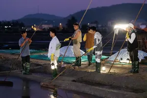 Gia đình Haha đến Quảng Ngãi trồng tỏi, trải nghiệm nghề làm muối tại Sa Huỳnh