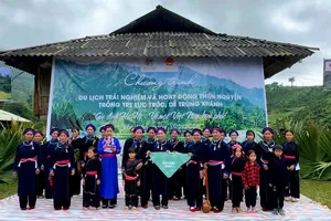 Hơn 16.000 cây xanh được trồng tại Bản Liền của chị Thông trong 'Gia Đình Haha'