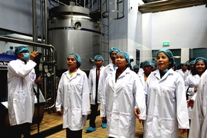 Vinamilk: khởi động ngành công nghiệp sữa tại Campuchia