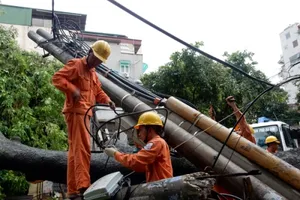 Thợ điện thủ đô nỗ lực khôi phục lưới điện sau bão