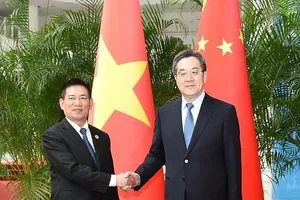 Phó Thủ tướng Hồ Đức Phớc hội đàm với Phó Thủ tướng Trung Quốc Đinh Tiết Tường