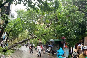 Lo ngại tăng trưởng GDP hai quý cuối năm chững lại do bão số 3 