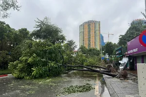 ADB đưa ra giải pháp phục hồi kinh tế sau bão số 3