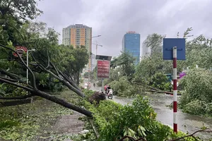 ADB hỗ trợ Việt Nam 2 triệu USD khắc phục hậu quả bão số 3 