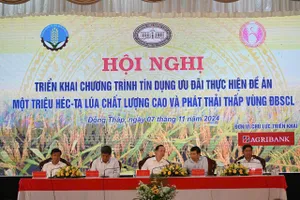 Triển khai cho vay ưu đãi thực hiện đề án 1 triệu ha lúa tại ĐBSCL
