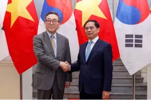 Phó Thủ tướng, Bộ trưởng Ngoại giao Bùi Thanh Sơn hội đàm với Bộ trưởng Ngoại giao Hàn Quốc