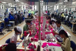 Doanh nghiệp chẻ lương công nhân để trốn đóng BHXH