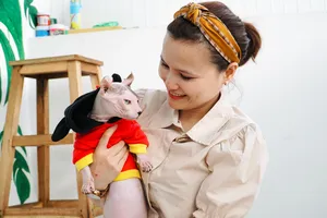 Cô gái chi hàng trăm triệu sở hữu đàn mèo 'xấu nhất thế giới'