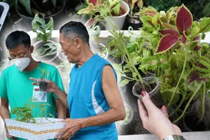 Chùm ảnh: Nhộn nhịp chợ cây ‘rẻ như cho’ tại TP.HCM