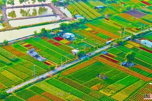 Người dân đến check-in tại làng hoa lớn nhất Bình Dương