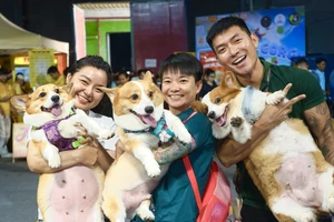 Nhiều 'thí sinh' chó mèo cùng đọ dáng, khoe sắc tại Vietnam Pet Festival 2024
