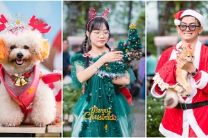 Thú cưng diện đồ xinh tham gia các lễ hội, cuộc thi vào mùa Giáng sinh