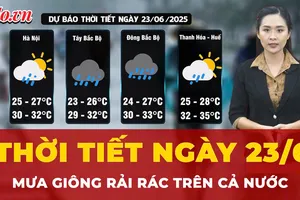 Dự báo thời tiết ngày 23-6: Mưa vừa, mưa to và rải rác có giông tại nhiều khu vực trên cả nước 