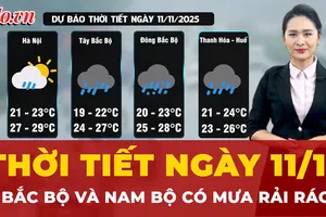 Dự báo thời tiết ngày 11-11: Bắc Bộ và Nam Bộ có mưa rải rác 
