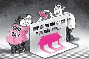 Tòa, Viện đồng tình 'phá' hợp đồng giả cách ngoạn mục