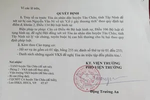 Ẩu đả vì cành cây, hai bên đều bị truy tố