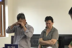 Làm “người vận chuyển”, hai vợ chồng già khóc hối hận tại tòa