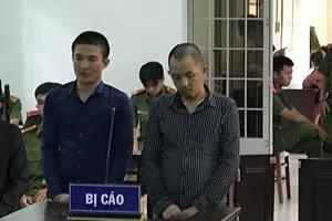 Đôi bạn trộm xe chở cam, quýt, mãng cầu bị phạt 42 tháng tù