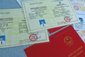 Sử dụng chứng chỉ giả và... kiện chủ tịch tỉnh