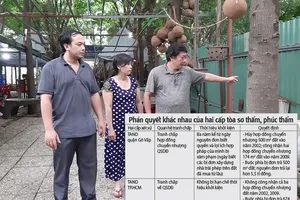 Đã có bản án phúc thẩm khiến vợ bị đơn định nhảy lầu tại tòa