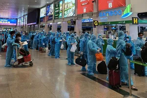 Giả mạo công văn của tỉnh đón dân về quê: Phạt tù đến 7 năm