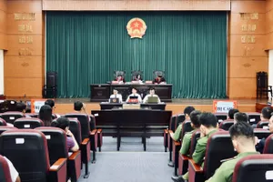 Cựu cán bộ Tổng cục Hải quan và 'phong bì uống cà phê' hàng trăm triệu