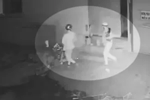 Người dân báo mất 9 con gà đá giá hơn 20 triệu ở Bình Tân