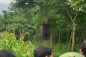 Yên Bái: 1 ngày có 2 người chết trong tư thế treo cổ