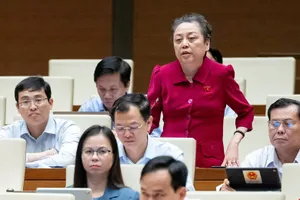 Bà Phạm Khánh Phong Lan: 'Đấu thầu không phải con đường duy nhất...'