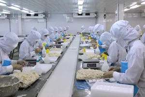 Đổi mới xây dựng pháp luật: Doanh nghiệp kỳ vọng nền tảng pháp lý thống nhất 