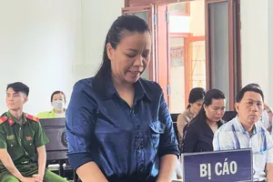 Giám đốc Công ty Maika Hồng Phát lãnh 17 năm tù